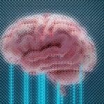 What Is Neuralink’s New BCI Speed Record? Explained